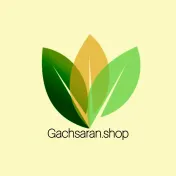 gachsaran.shop