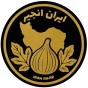 بازرگانی ایران انجیر
