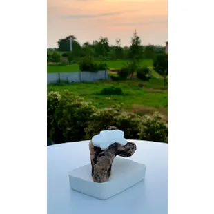 جاشمعی ریشه