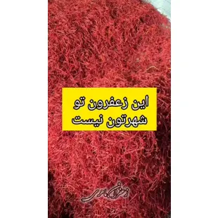 زعفران سرگل