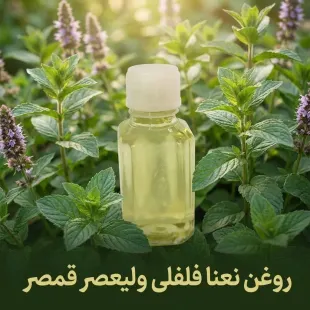  روغن ،عطر نعنا فلفلی ارگانیک وطبیعی بدون افزودنی