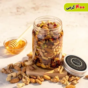 معجون چهار مغز عسل کوهی ویژه (گردو-بادام هندی-پسته-بادام درختی) 400 گرمی