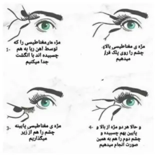 مژه پنج مگنت قهوه ای نوع با خط چشم