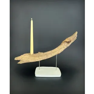 جاشمعی زوزه
