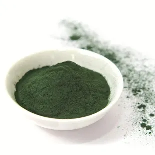 جلبک پودر اسپیرولینا بسته ی 500 گرمی خوراکی انسانی اکسیر سبز