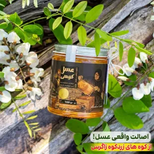 عسل وحشی کوهی ناب زاگرس (1000 گرم) فوق ارگانیک+بسیار کمیاب+طعم-عطر قوی