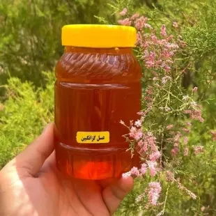عسل گزانگبین محصول اعلای کوهپایه 1000 گرمی درجه یک