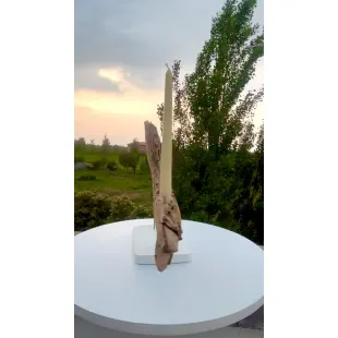 جاشمعی زوزه