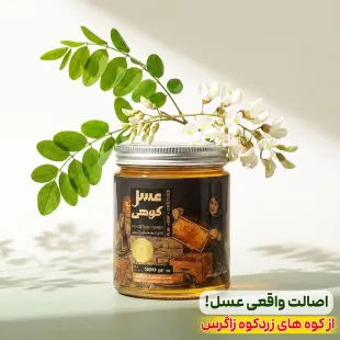 عسل کوهی وحشی ناب زاگرس (500 گرم) فوق ارگانیک+بسیار کمیاب+طعم-عطر قوی