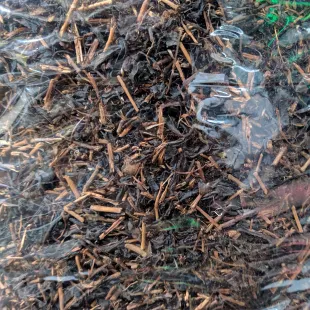 چای ساقه بهاره لاهیجان 1404 (یک کیلویی)