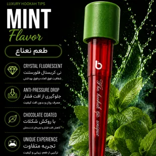 🌿 پک تک طعم نعناع (25 عددی)