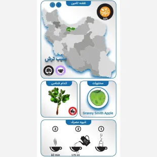 دمنوش چای سبز و سیب ترش 3