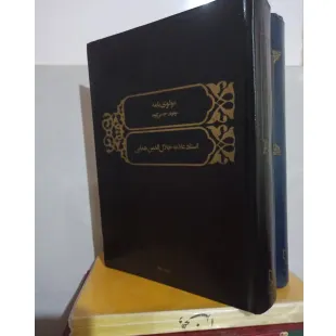 مولوی چه می‌گوید اثر جلال‌الدین همایی