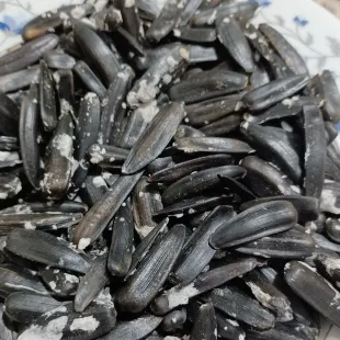 تخمه سیاه اصل خوی 500گرمی تازه برشته شده 