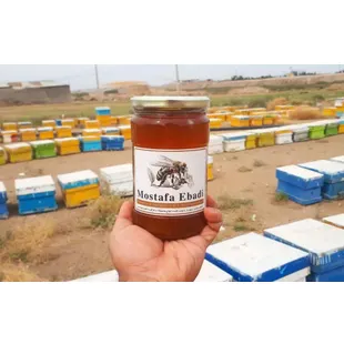 عسل آویشن کوهی