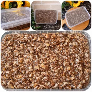 عسل مغز معجون عسل دیابتی و مغز ها600 گرمی (سالم مقوی و انرژی زا )600 گرمی