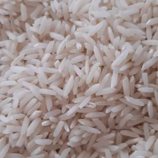برنج  طارم هاشمی محصول 1404استانه اشرفیه 10000گرم دو الکه وسورت شده  