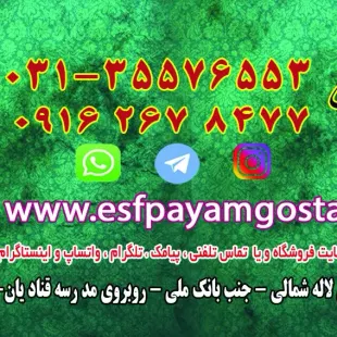 مهر ژلاتینی با دستگاه اتوماتیک c10 موبی