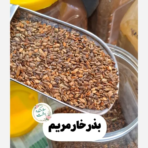 بذر خار مریم 100گرم(پاک سازی کبد،کبد چرب و...)