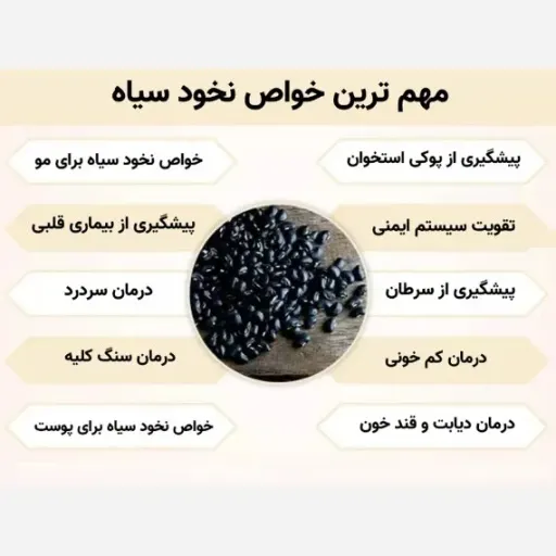 نخود سیاه محلی پر خاصیت درمانی 1404(یک کیلو)