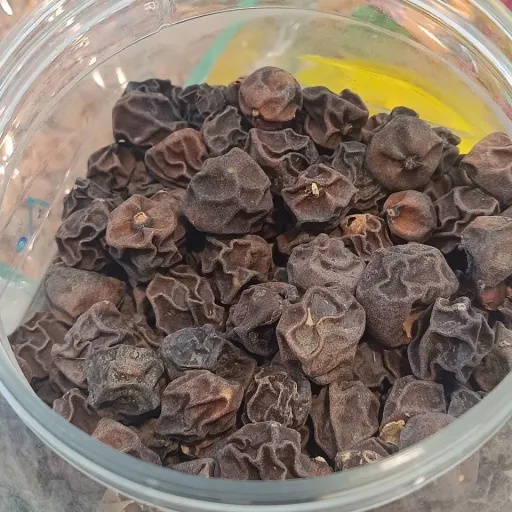 سپستان درشت سلامتکده بهشت