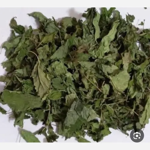 برگ بادرنجبویه یک کیلویی
