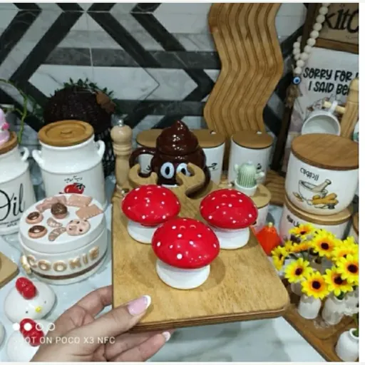 نمک پاش مدل قارچ سرامیکی فانتزی جذاب وقشنگ 