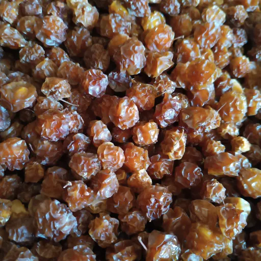 آلوچه خشک سلطانی ملس یک کیلویی 