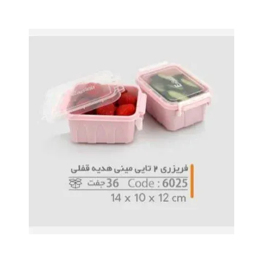 فریزری 2تایی مینی هدیه قفلی ایده آل