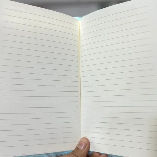 دفترچه یاداشت( خاطرات) خزدار طرح دار
