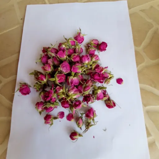غنچه گل محمدی درجه یک تولید اردیبهشت 1405