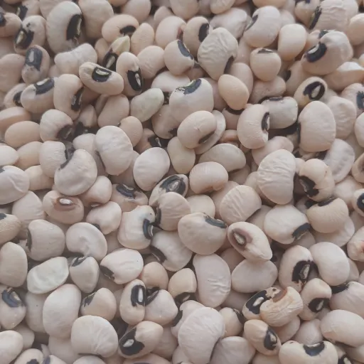 لوبیا چشم بلبلی محلی آستانه اشرفیه 250 گرمی 