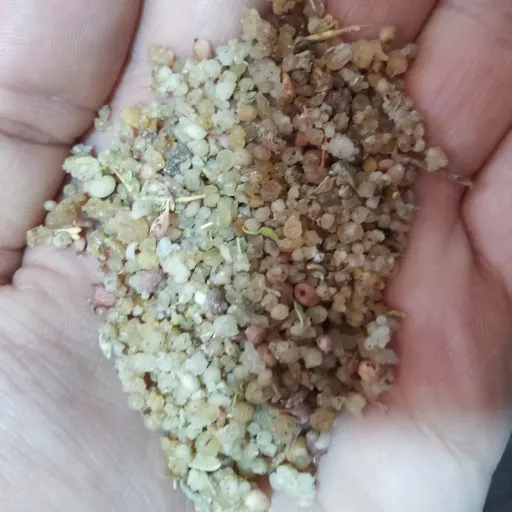 ترنجبین اعلا  وزن محصول 30 گرم