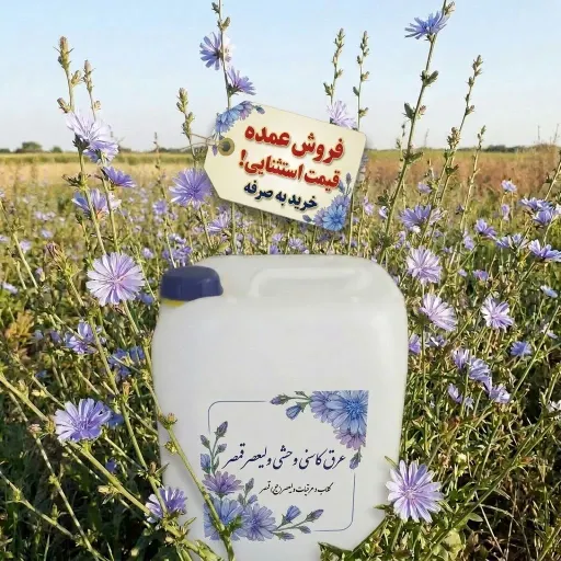 دو دبه 20 لیتری عرق کاسنی وحشی(( ارسال پس کرایه))