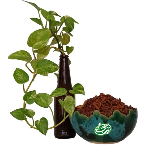 چای سیب اعلاء داروبرگ 