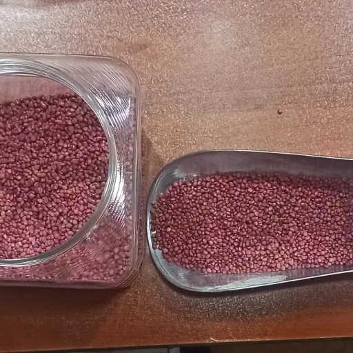 بذر تربچه 20گرمی