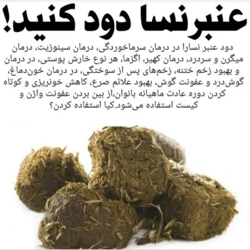 عنبر نسارا