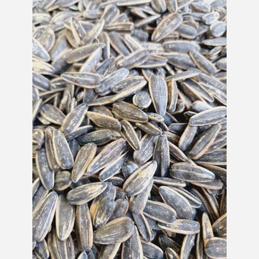 تخمه آفتابگردان خوش طعم و تازه 250 گرمی
