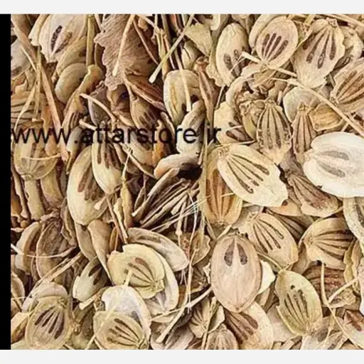 گلپر سالم بسته 1 کیلوگرمی