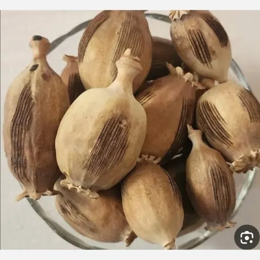  گرز خشخاش 100 گرم