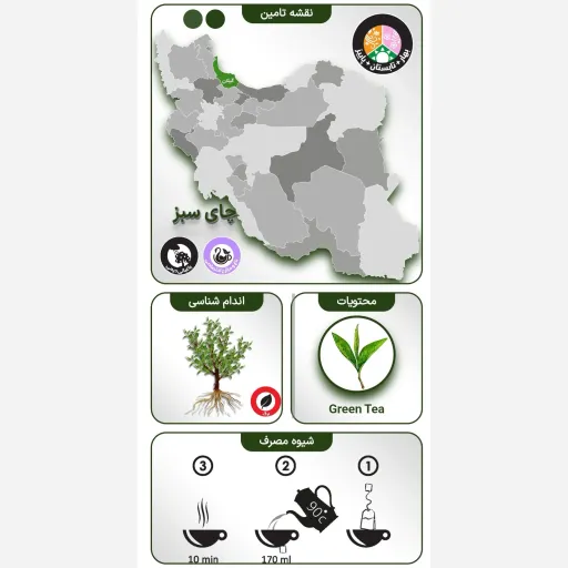 دمنوش چای سبز، گزنه و برگ زیتون 4