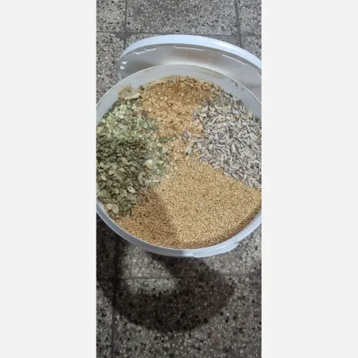 معجون 4 مغز اعلا (با قیمت استثنایی)600 گرمی