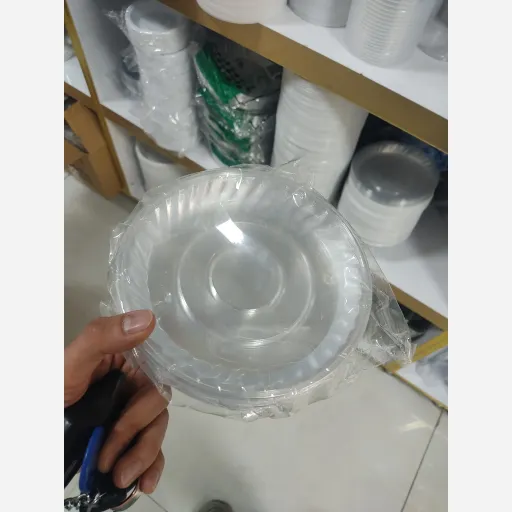 پیش دستی یکبار مصرف 