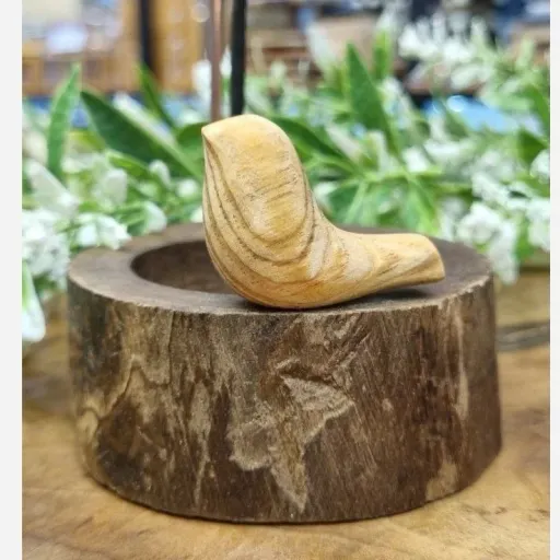 جاعودی چوبی وارونه پرنده