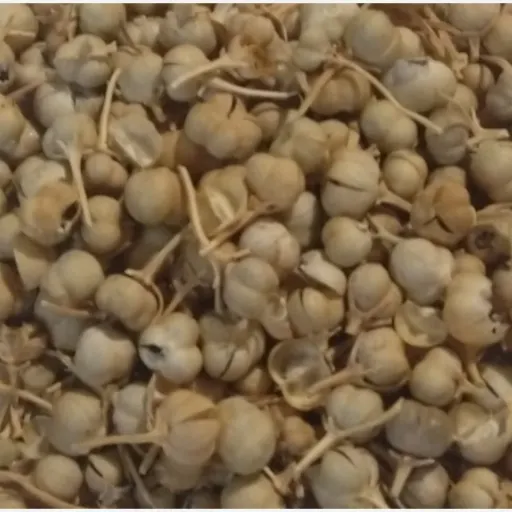 اسپند نخودی 100 گرمی