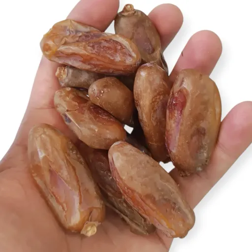 خرمای شاهانی آجیلی(برداشت 1404)