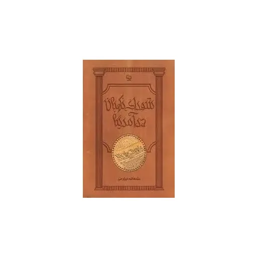 شورای نگهبان در آمریکا