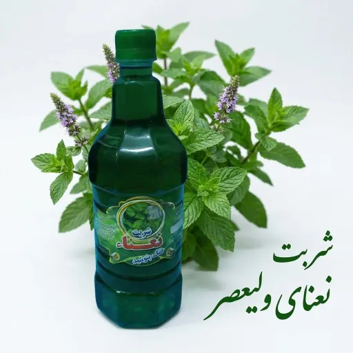 شربت نعنا درجه یک غلیظ(خانگی)
