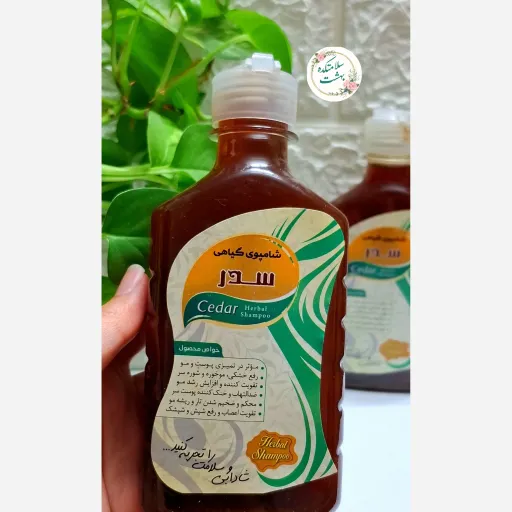 شامپو گیاهی سدر ارگانیک