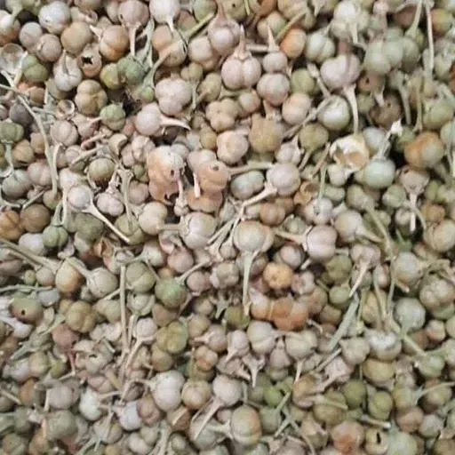 اسپند نخودی درشت(130 گرمی)